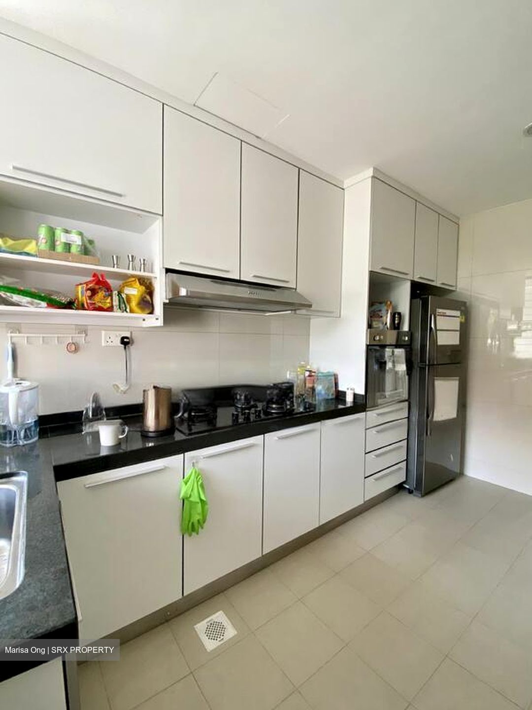 Sutton Place (D10), Condominium #480562371